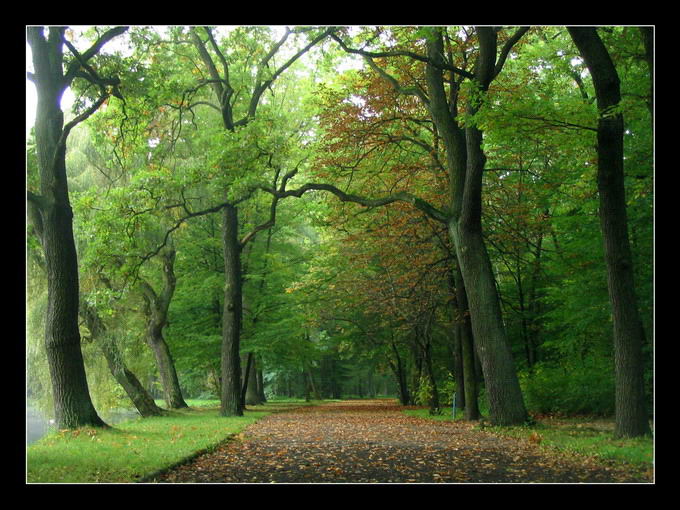 Park Zielona,Dąbrowa Górnicza