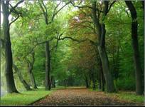 Park Zielona,Dąbrowa Górnicza