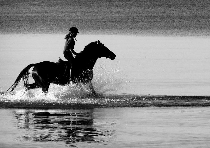 La femme sur le cheval est galope dans la mer