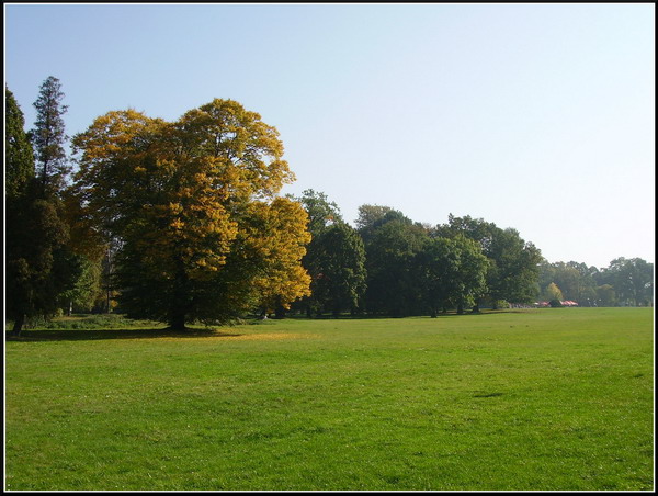 Świerklaniec p Park