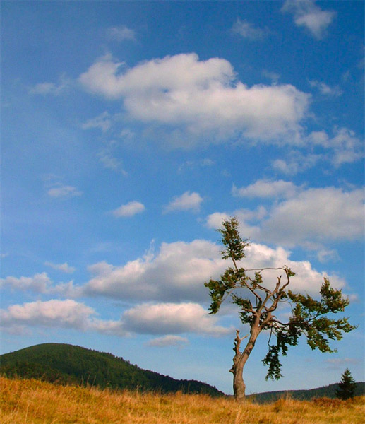 Pieniny 2005