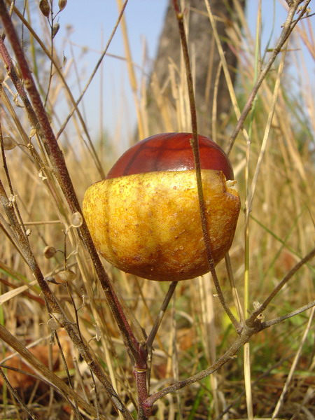 Zawieszony w przestrzeni