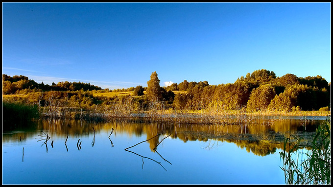 Mazury