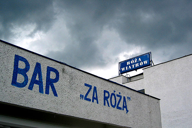 za różą