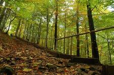 Bieszczady