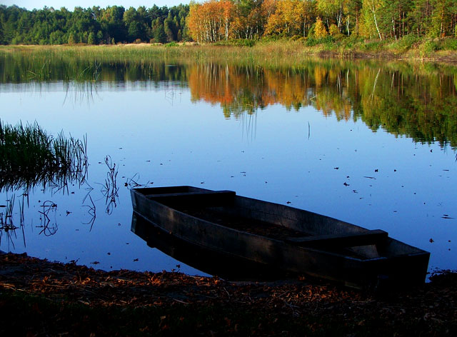 złota jesień nad wodą