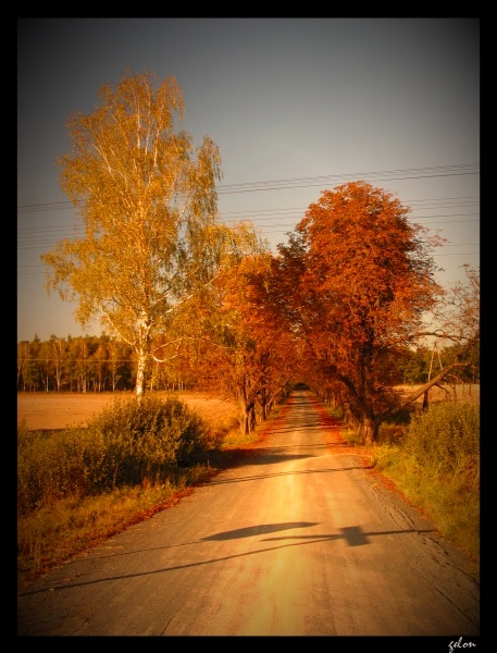 Stamtąd to Ona nadeszla...