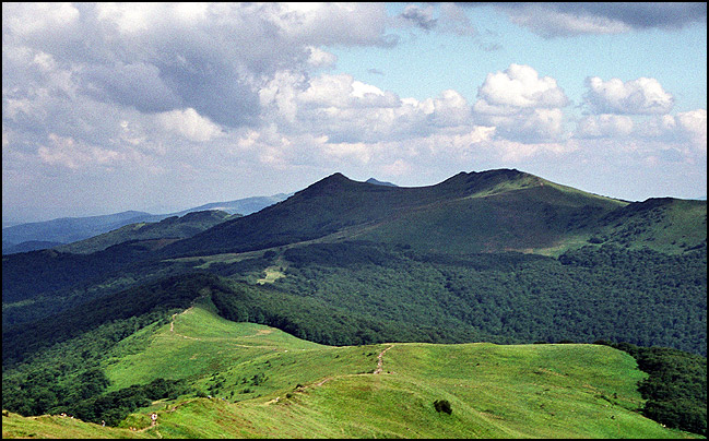 Biesy i czady 3