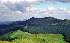 Biesy i czady 3