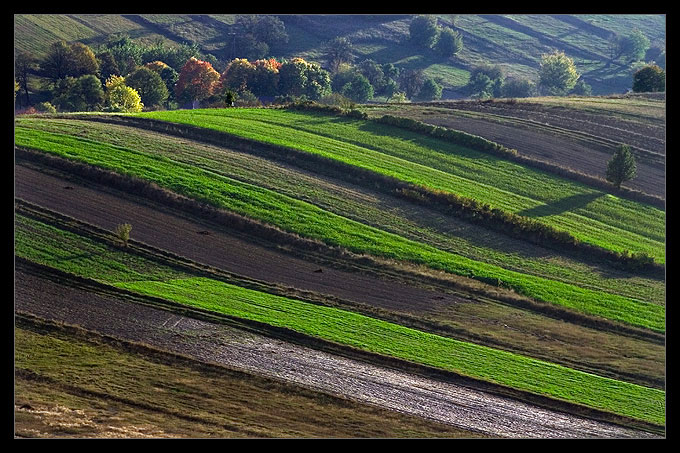 przekładaniec