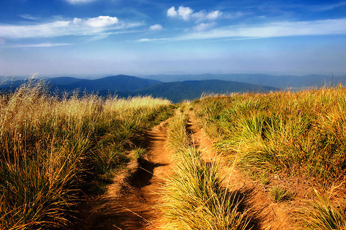 Bieszczady