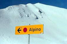 alpino