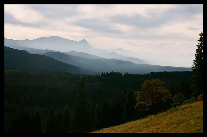 Widok na Tatry z Głodówki