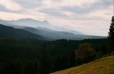 Widok na Tatry z Głodówki