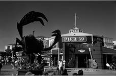 Pier 39