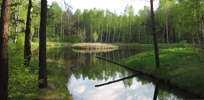 Tarnowskie Góry - Pniowiec