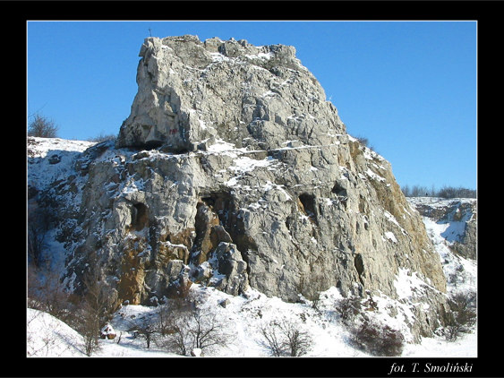 Skała Geologów