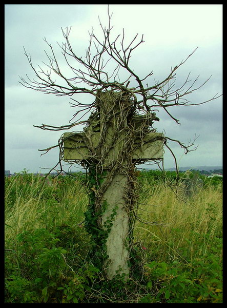 catholic cross Belfast cementery