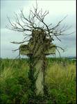 catholic cross Belfast cementery