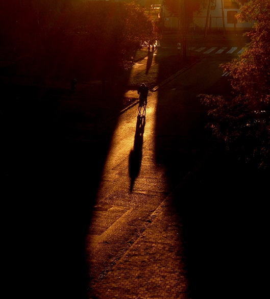 Lone Rider