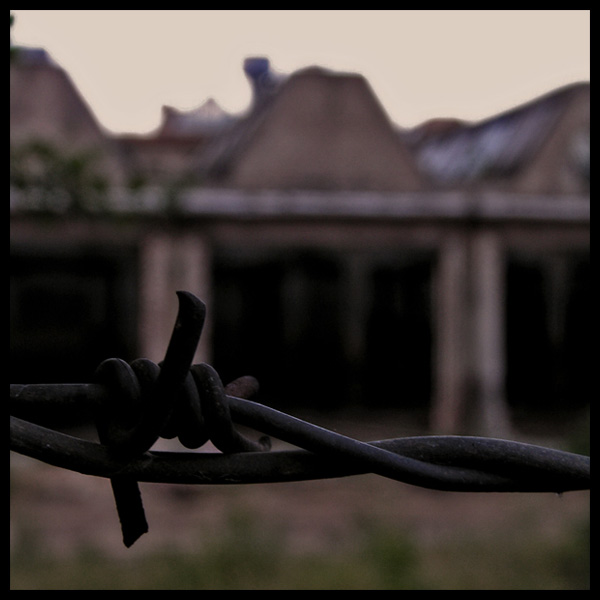 barbed wire