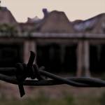 barbed wire