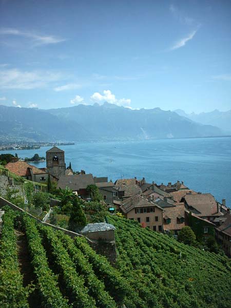 Saint-Saphorin - Lavaux