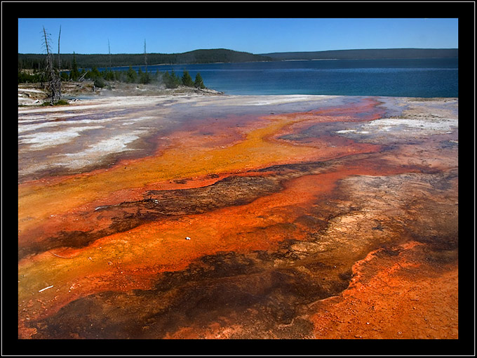 Yellowstone: gorące źródła