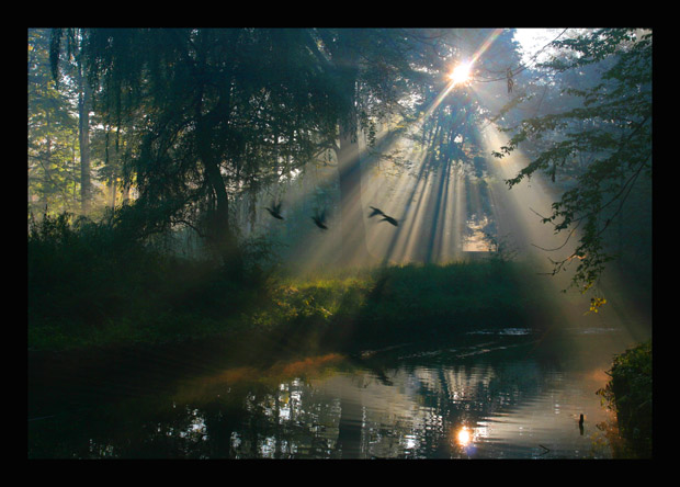 Natura daje radę czasami..