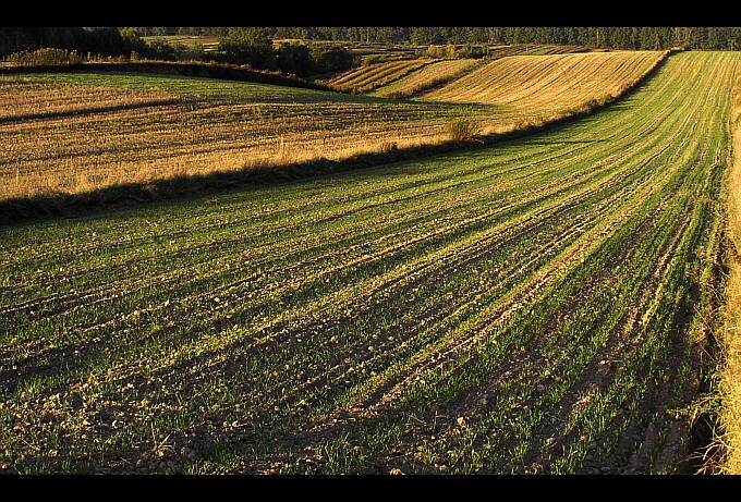 pośród fal #2