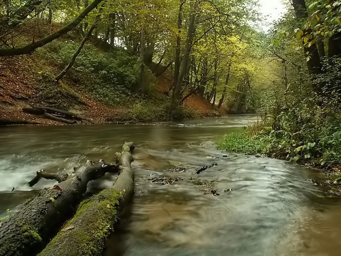 Płynie woda w strumieniu, płynie czas... nadchodzi jesień cz.2