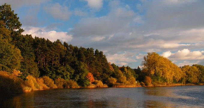 słodki landszafcik