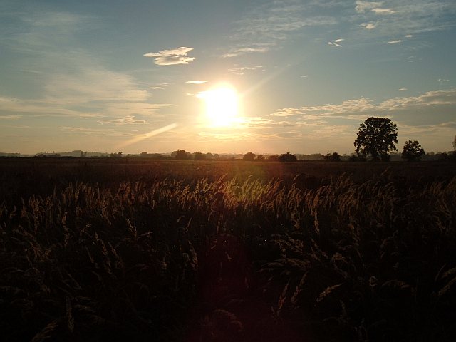 Jesienne słońce o 16:51