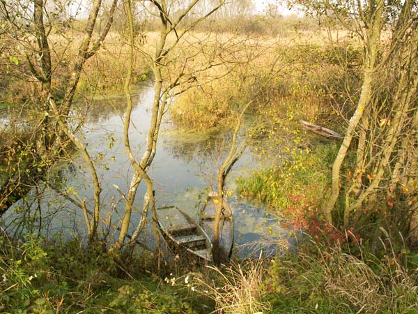 Rzeka Narew i jej rozlewiska koło wsi Kruszewo w woj. podlaskim.