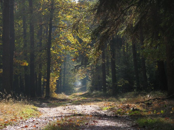 Chodź... czekam na Ciebie...