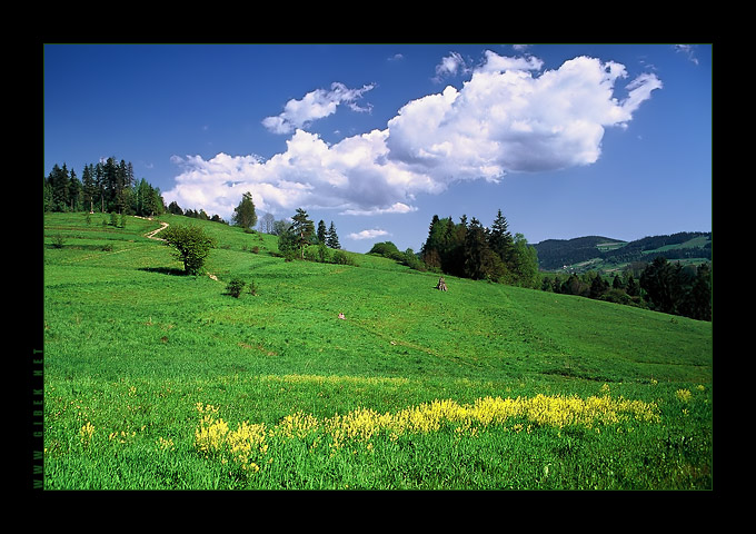 Grzebień, Gorce