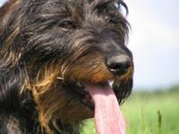 i kto ma dłuższy...