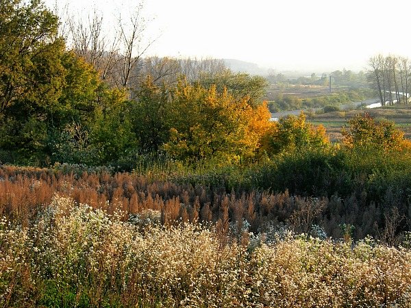 jesienny widok (okolice Jasła)