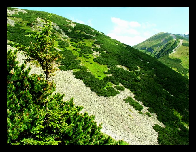 bliskie Tatry