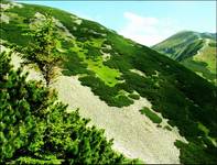 bliskie Tatry