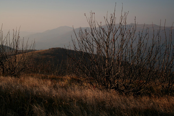 Bieszczady