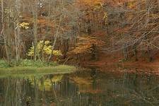 Bieszczady