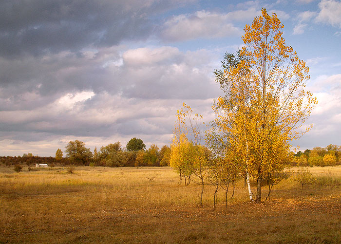 Jesień cz.2