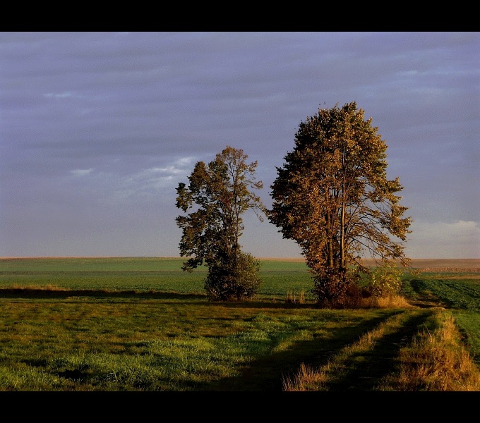 pejzażowo