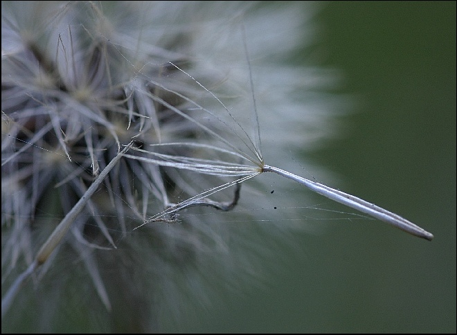 Poleciał w jesień 3/4