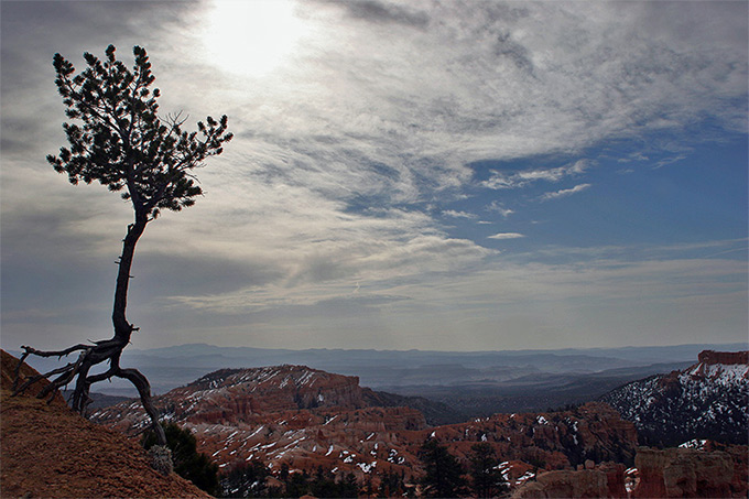 Samotne nad Bryce Canyon