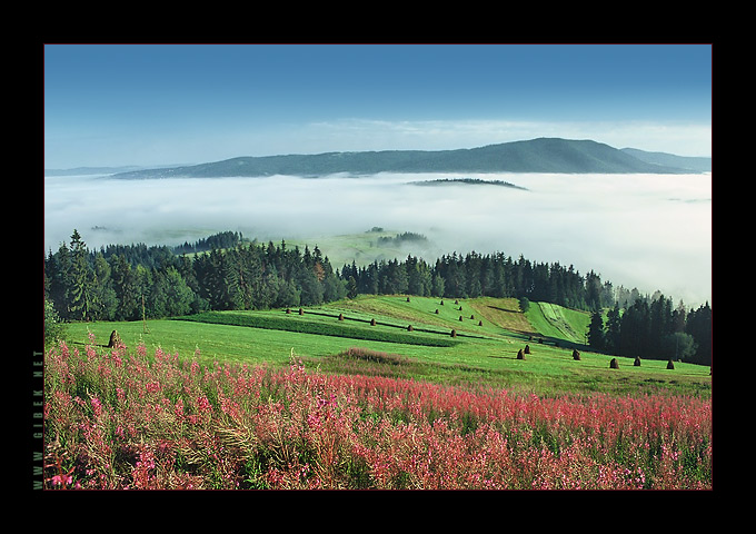 Widok z Maciejowej na Grzebień i Luboń Wielki, Gorce. [...szuflada...][2004_09_15]