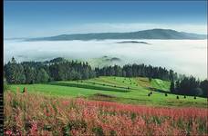 Widok z Maciejowej na Grzebień i Luboń Wielki, Gorce. [...szuflada...][2004_09_15]