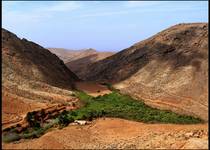 Fuerteventura, okolice Betancurii