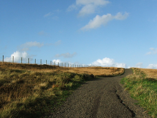 Wzgórze Cavehill